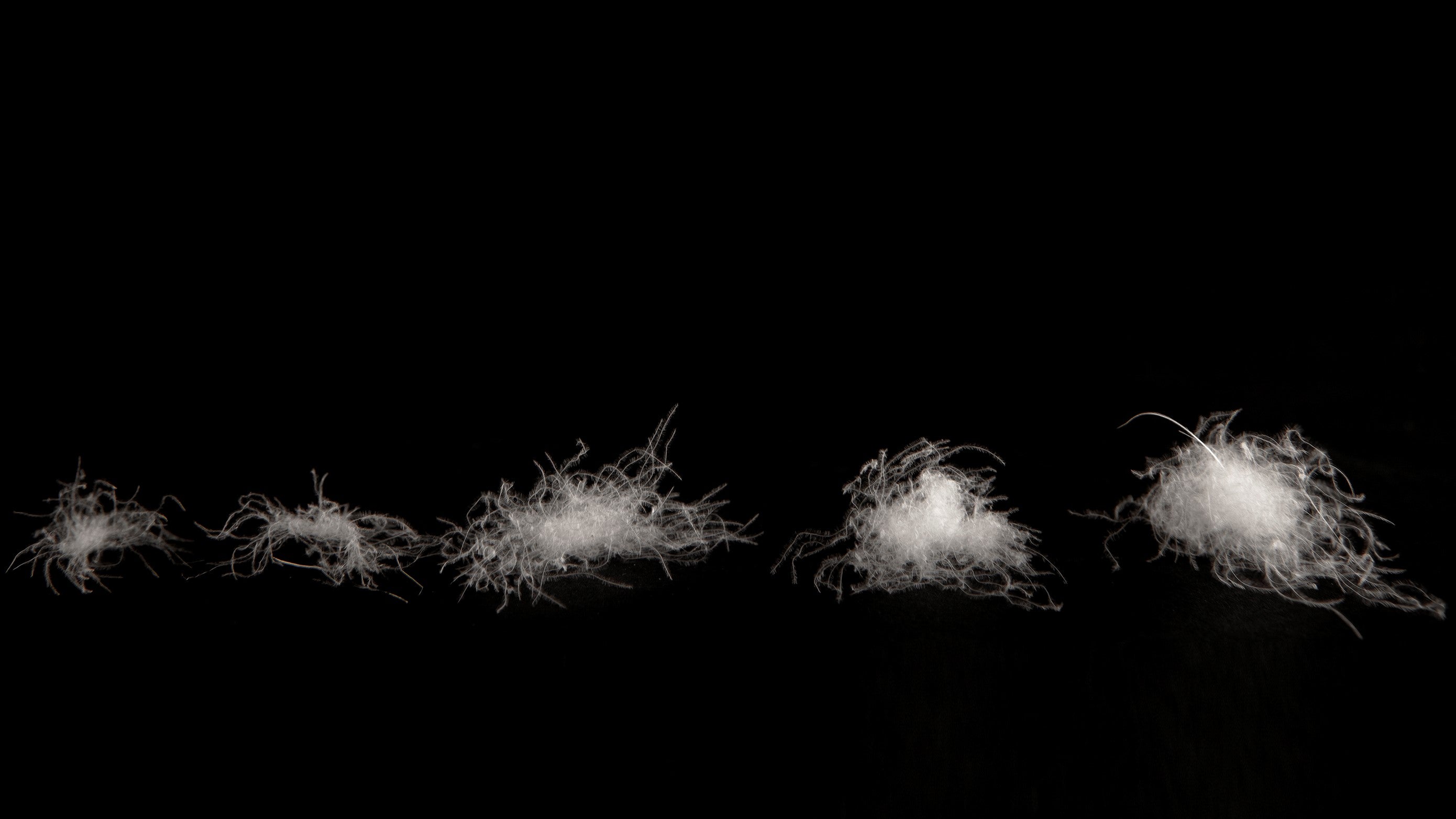 ダウンのフィルパワー